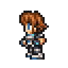 シェルク